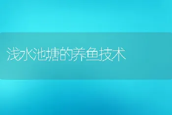 浅水池塘的养鱼技术