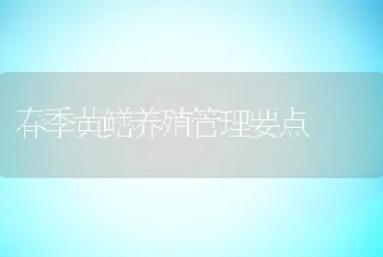 春季黄鳝养殖管理要点