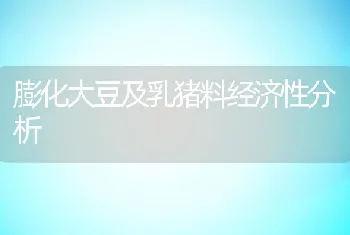 膨化大豆及乳猪料经济性分析