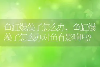 鱼缸爆藻了怎么办，鱼缸爆藻了怎么办对鱼有影响吗？