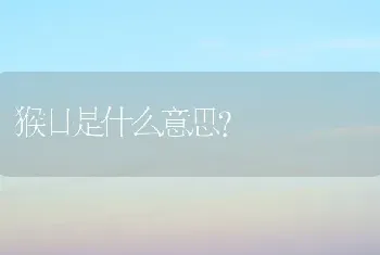 猴日是什么意思？