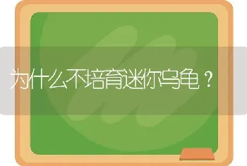 为什么不培育迷你乌龟？