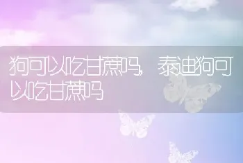 狗可以吃甘蔗吗，泰迪狗可以吃甘蔗吗