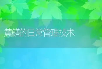 黄鳝的日常管理技术