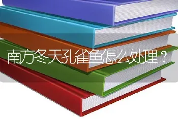 南方冬天孔雀鱼怎么处理？