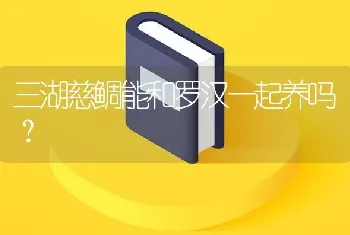 三湖慈鲷能和罗汉一起养吗？