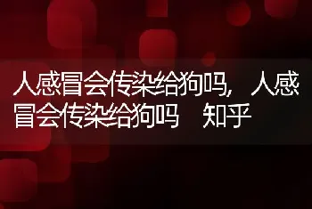 人感冒会传染给狗吗，人感冒会传染给狗吗 知乎