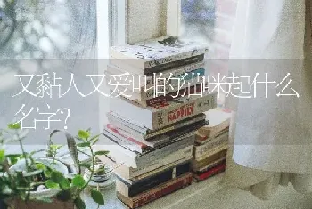 二哈的眼珠为什么那么小？