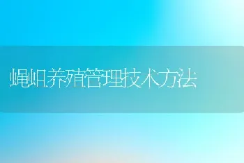 蝇蛆养殖管理技术方法