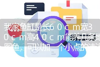 我家鱼缸是长60cm宽30cm高40cm能养几条地图鱼，可以加一个小点的清道夫吗？