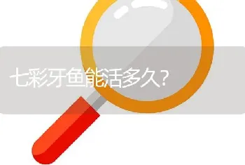 七彩牙鱼能活多久？