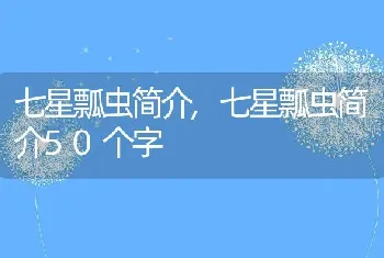 七星瓢虫简介，七星瓢虫简介50个字