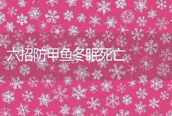 六招防甲鱼冬眠死亡