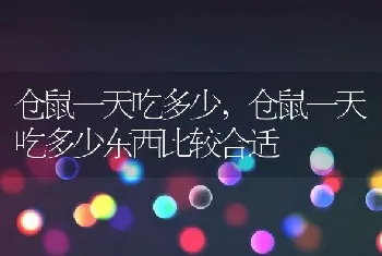 仓鼠一天吃多少，仓鼠一天吃多少东西比较合适