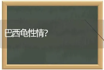 养了十多年得宠物狗可是总咬自家主人？