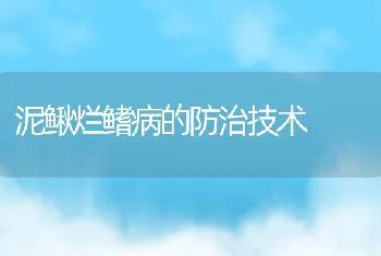 泥鳅烂鳍病的防治技术