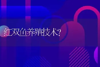 红双鱼养殖技术？