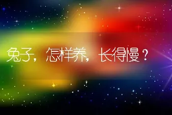 兔子，怎样养，长得慢？