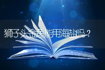 狮子头金鱼能用海盐吗？