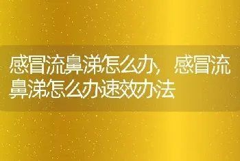 感冒流鼻涕怎么办，感冒流鼻涕怎么办速效办法