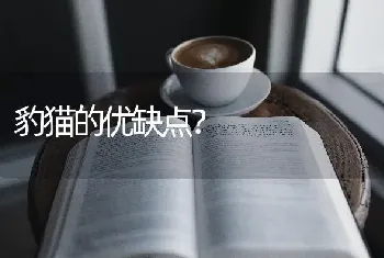 豹猫的优缺点？