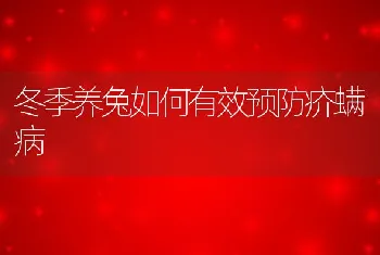 冬季养兔如何有效预防疥螨病