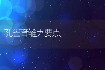 孔雀育雏九要点