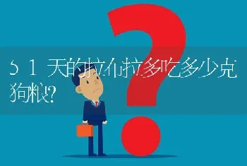 51天的拉布拉多吃多少克狗粮？