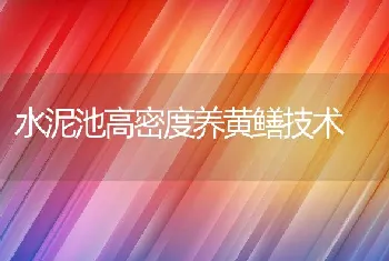 水泥池高密度养黄鳝技术