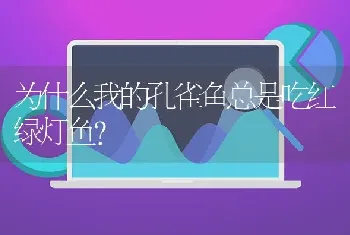 为什么我的孔雀鱼总是吃红绿灯鱼？