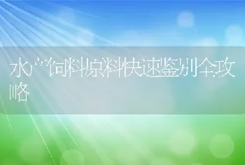 水产饲料原料快速鉴别全攻略