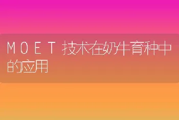 MOET技术在奶牛育种中的应用