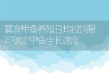 算准甲鱼养殖日均投饲量可确定甲鱼生长速度