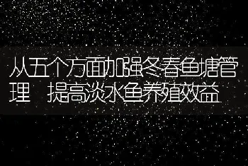 从五个方面加强冬春鱼塘管理提高淡水鱼养殖效益