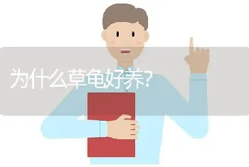 为什么草龟好养？