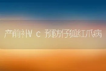 产前补Vc预防仔狐红爪病