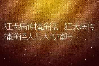 狂犬病传播途径，狂犬病传播途径人与人传播吗