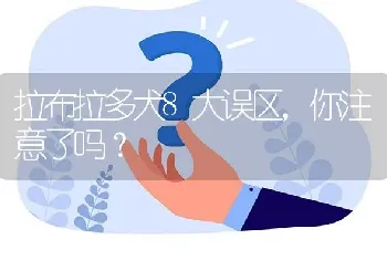 拉布拉多犬8大误区，你注意了吗？