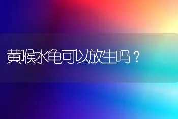 黄喉水龟可以放生吗？