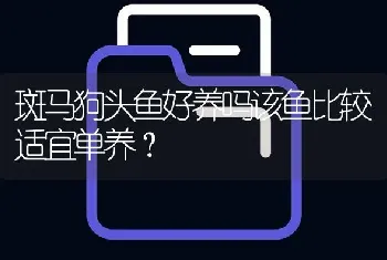 斑马狗头鱼好养吗该鱼比较适宜单养？