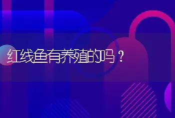 红线鱼有养殖的吗？