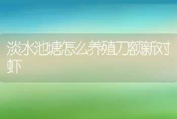 淡水池塘怎么养殖刀额新对虾