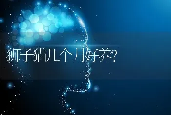 狮子猫几个月好养？