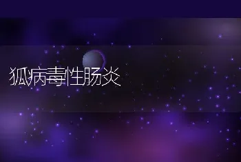 乌龟养殖技术与疾病防治