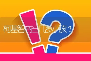 柯基智商当几岁小孩？