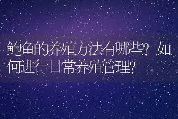 鲍鱼的养殖方法有哪些?如何进行日常养殖管理?