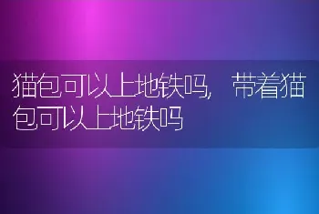 猫包可以上地铁吗，带着猫包可以上地铁吗