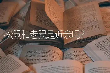 松鼠和老鼠是近亲吗？