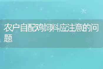 农户自配鸡饲料应注意的问题