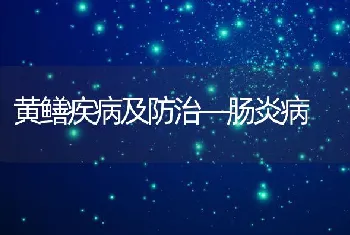 黄鳝疾病及防治―肠炎病